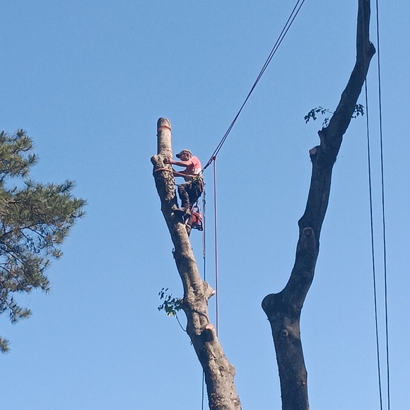 Artwork - Picture 4 of 5